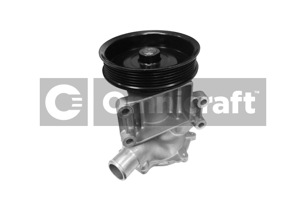 Water Pump, engine cooling (2317097)