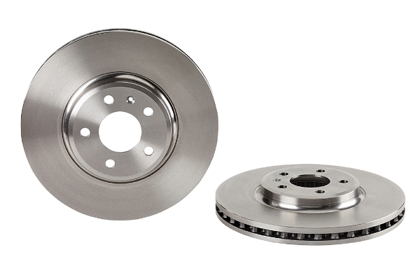 Brake Disc (2134496)