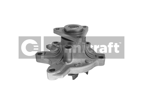Water Pump, engine cooling (2317105)