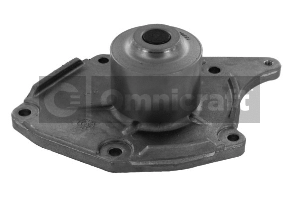 Water Pump, engine cooling (2317014)