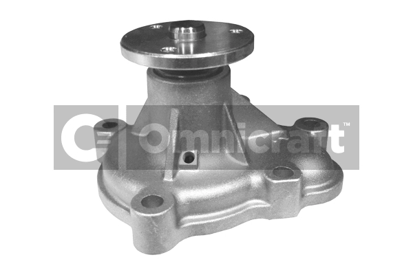 Water Pump, engine cooling (2316976)