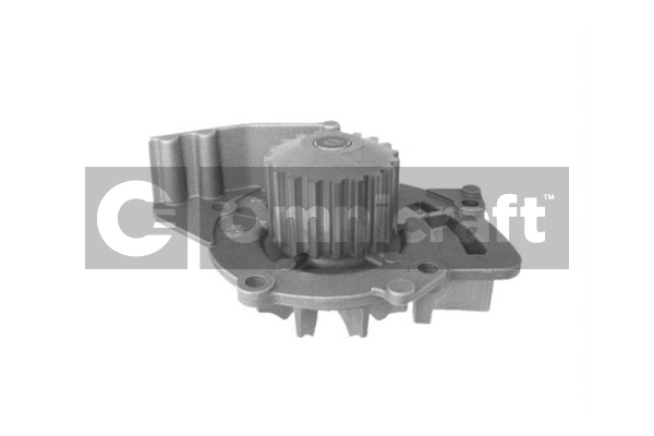 Water Pump, engine cooling (2316934)