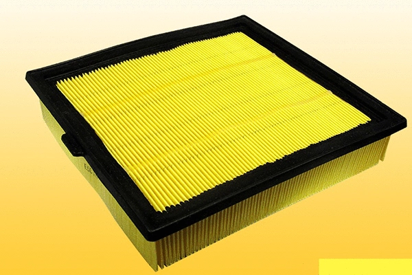 Air Filter (QFA585)