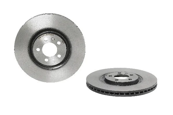 Brake Disc (2134634)