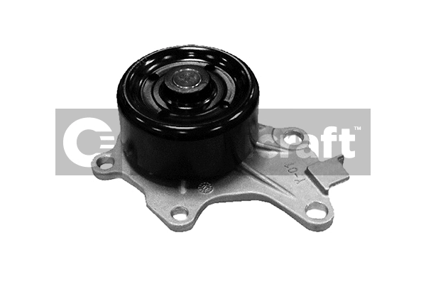 Water Pump, engine cooling (2317167)