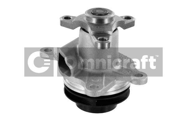 Water Pump, engine cooling (2317052)