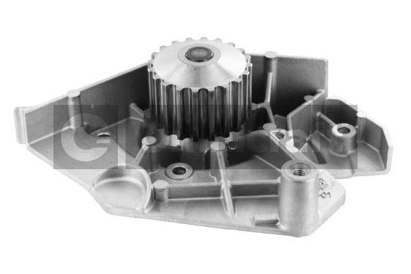 Water Pump, engine cooling (2317328)