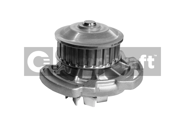 Water Pump, engine cooling (2317270)
