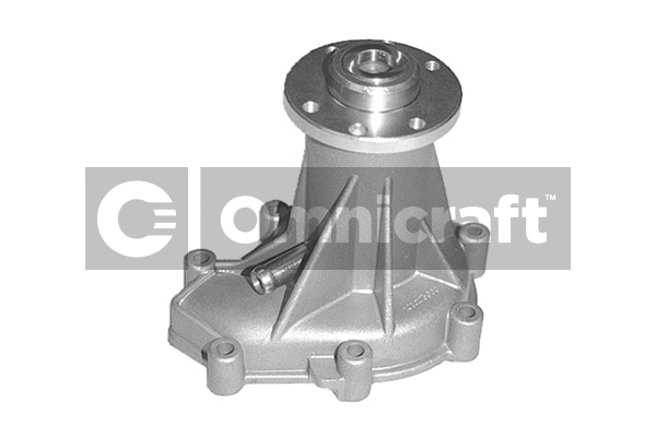 Water Pump, engine cooling (2317161)