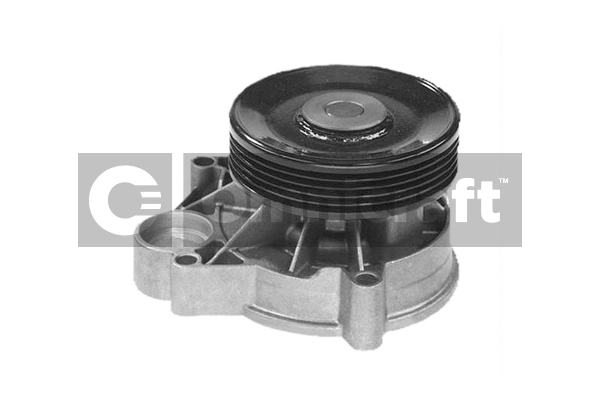 Water Pump, engine cooling (2317348)