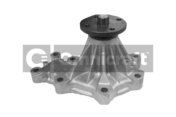 Water Pump, engine cooling (2317407)