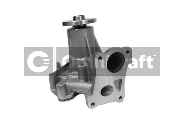 Water Pump, engine cooling (2317306)