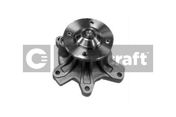 Water Pump, engine cooling (2317109)