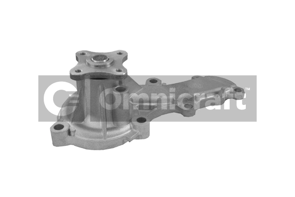 Water Pump, engine cooling (2317119)