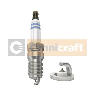 Spark Plug (2311190)