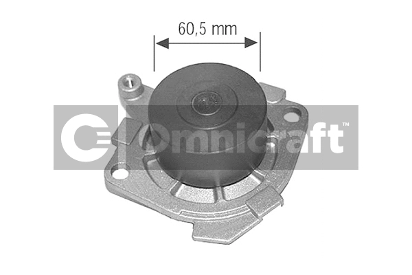 Water Pump, engine cooling (2317455)