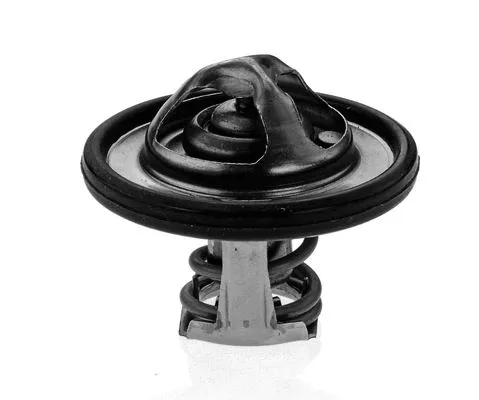 Thermostat, coolant (2458014)