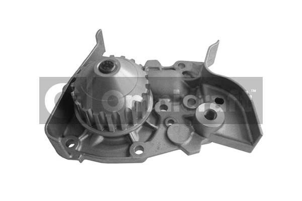 Water Pump, engine cooling (2317210)