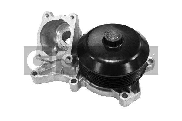 Water Pump, engine cooling (2316950)