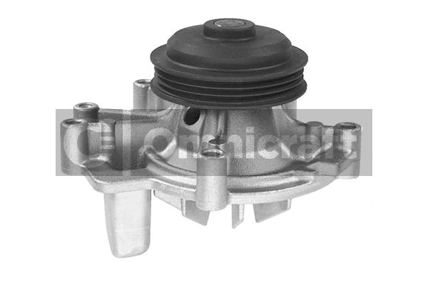 Water Pump, engine cooling (2317403)