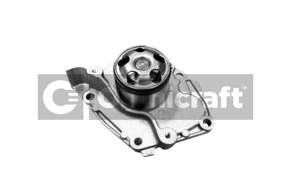 Water Pump, engine cooling (2317111)