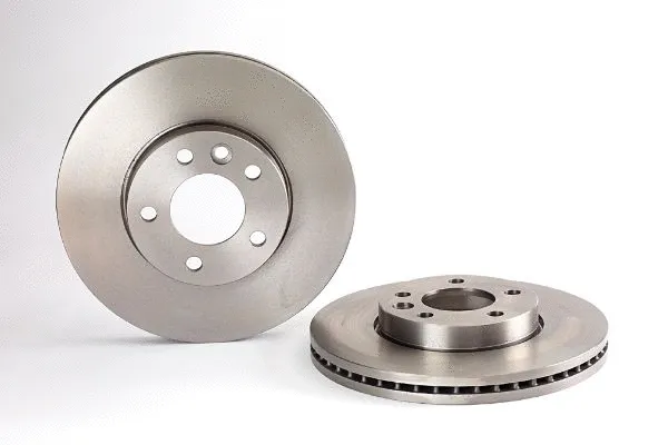 Brake Disc (2134016)