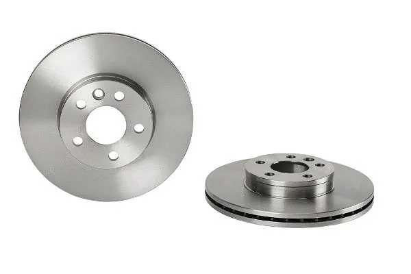Brake Disc (2134079)