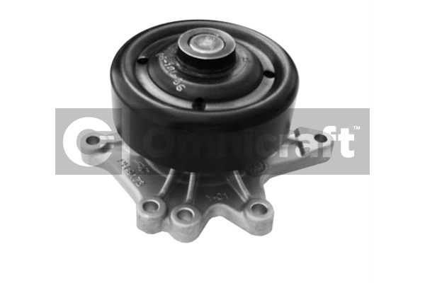 Water Pump, engine cooling (2317000)