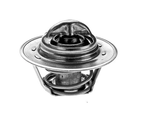 Thermostat, coolant (2457887)