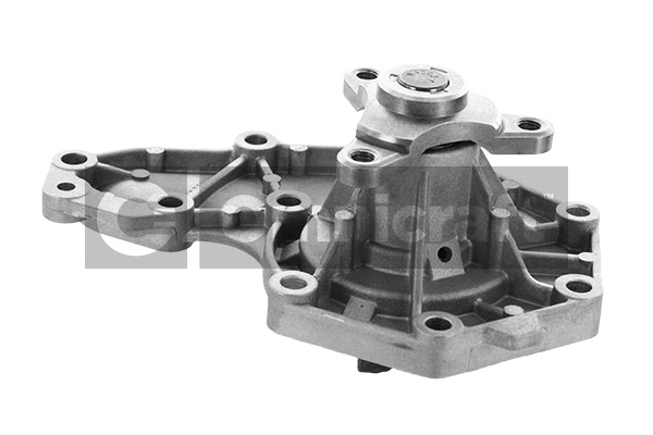 Water Pump, engine cooling (2316912)