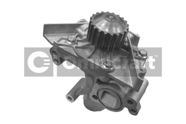 Water Pump, engine cooling (2317022)