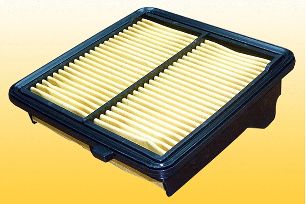 Air Filter (QFA578)