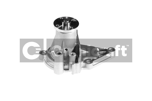 Water Pump, engine cooling (2317169)