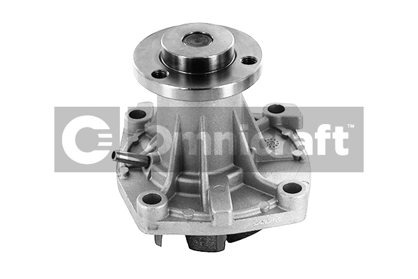 Water Pump, engine cooling (2317372)