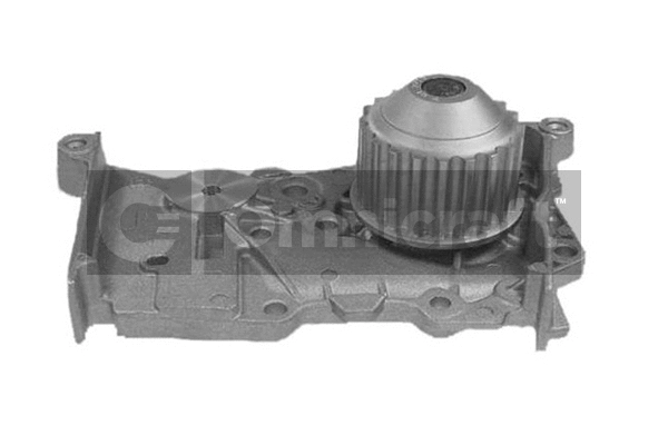 Water Pump, engine cooling (2316906)
