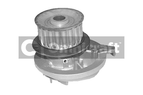 Water Pump, engine cooling (2317428)
