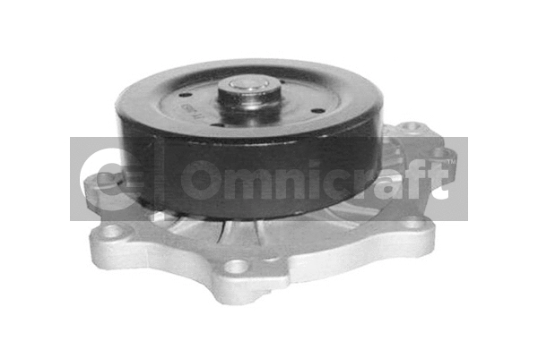 Water Pump, engine cooling (2316974)