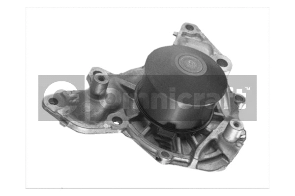Water Pump, engine cooling (2317450)