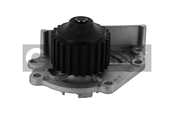 Water Pump, engine cooling (2317044)