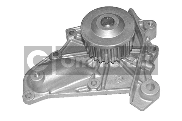Water Pump, engine cooling (2317358)