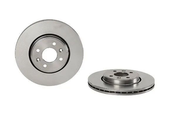 Brake Disc (2133895)