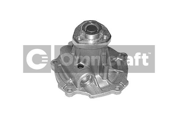 Water Pump, engine cooling (2317060)