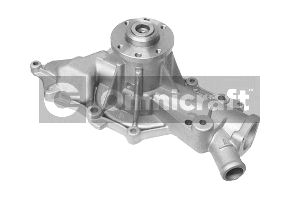 Water Pump, engine cooling (2317384)