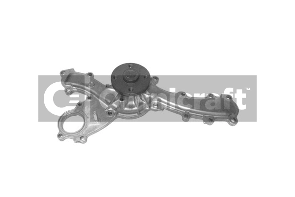 Water Pump, engine cooling (2317374)