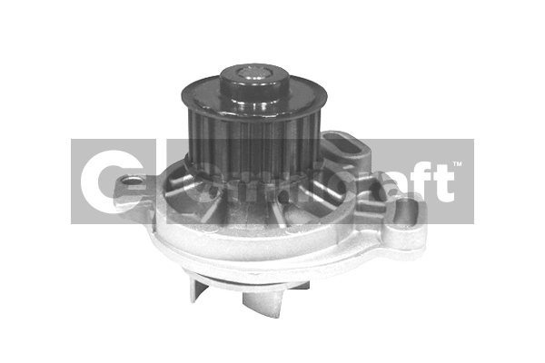 Water Pump, engine cooling (2317397)