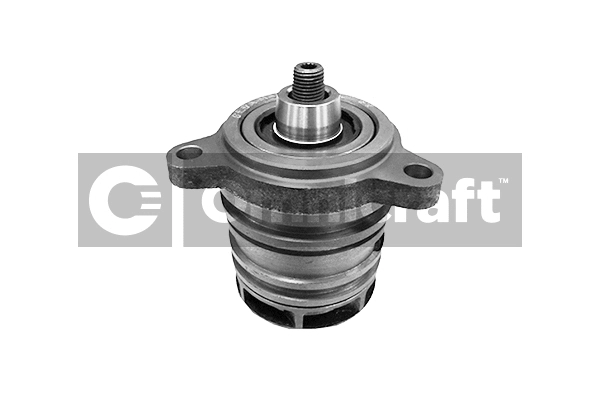 Water Pump, engine cooling (2317139)