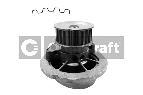 Water Pump, engine cooling (2317028)