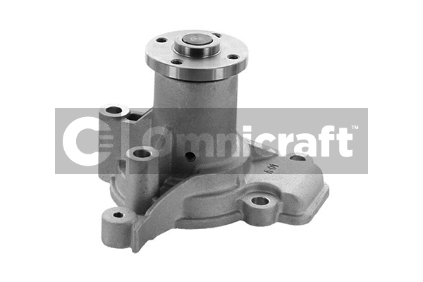 Water Pump, engine cooling (2317194)