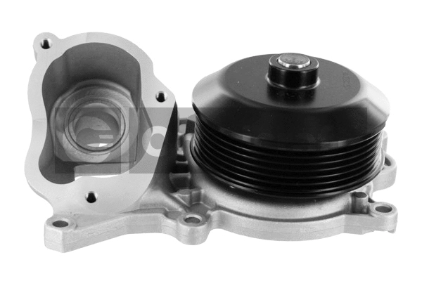 Water Pump, engine cooling (2316936)