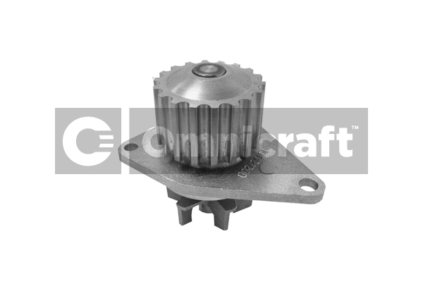 Water Pump, engine cooling (2317113)